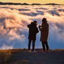 의료법인 부원의료재단 이미지