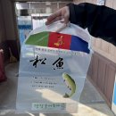 송어야 | [ 강원도 평창여행 ] 2026 평창송어축제 맨손잡기 성공! 송어야 미안해, 내년에 또 올게