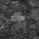 서귀동-38 이미지