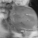 수색동물병원 이미지