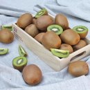 영덕무청영농조합법인 | 이베따 그린키위 10kg "매일 아침 한 잔" 가벼워진 몸과 생기 있는 피부