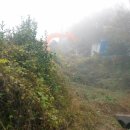 금포농장 이미지