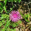 당평초등학교 이미지