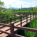 춘천문학공원 내 이미지