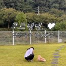 푸르댕댕 이미지