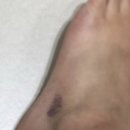 본본정형외과의원 이미지