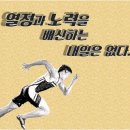 파워체대입시