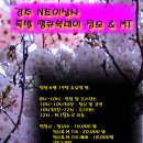 데이앤조이