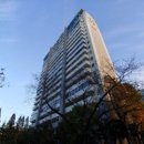 경기도 안양시 동안구청 이미지