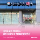 태화약국 이미지