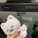 미주 유치원 | [NCT] 나는 어쩌면 계속 시즈니일지도 몰라 - 드4쇼 앙콘 첫첫콘 후기