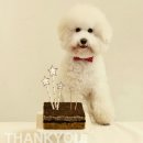 멍멍키친 이미지