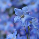 다산지금어린이공원5호[지금-8] 이미지