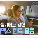 에이펙스라인 이미지