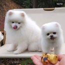 캠핑산 이미지