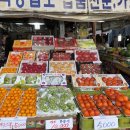 태양청과 - 여주시 이여로 1091 | 태양청과