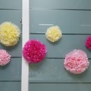 베이비랜드 이미지