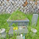 진해천자원 이미지