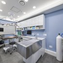 중마동물병원 이미지