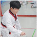 올바른 성장 태권도 | 성인태권도 아이의 성장을 돕는 푸른태권도 후기
