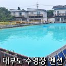 약속 펜션 | 대부도 수영장 펜션 캠핑장도 있는 바다의별펜션 내돈내산 솔직후기