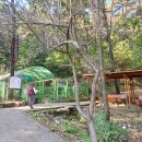 안용주골 이미지