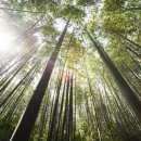 조경기능사 이미지