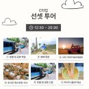 황금빛 목장 | [나트랑 여행] 판랑 사막 &amp; 양떼목장 &amp;사원 투어 후기 - 베트남 여행 천사