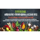 글로벌식문화평생교육원
