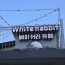 카페레빗