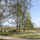 장자호수공원 | 장자호수공원 방문 후기 / 지호한방삼계탕 구리직영점 내돈내산 닭도리탕 먹방