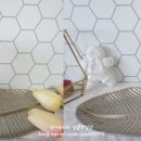 에이치바이옴 이미지