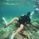 세부 클럽호핑투어 후기: 세부옥택연과 함께한 특별한 하루! 🏖️🐠