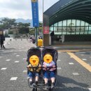 힘듦 | 아이 둘 데리고 서울대공원 다녀온 현실 후기 (+유모차 없으면 진짜 힘듦 준비물 주차꿀팁)