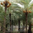 아인농장 이미지