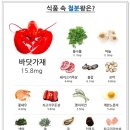 준초이짐 이미지