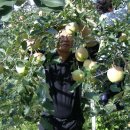 재부 농장 이미지