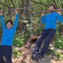 변증의 새 이미지