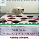 싱글댕글 애견유치원앤호텔 | 평택 통복동 애견호텔 싱글댕글 애견유치원&amp;호텔 비용 시간 위치