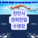 (주)한얼 | 천안 경희한얼수영장 완벽 정리 요금표·강습·후기까지 한눈에!
