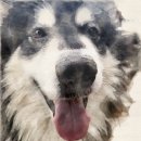 뭉치농장 이미지