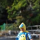 의령 거장산 오토캠핑장 이미지