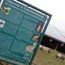 방목태양광발전소 이미지