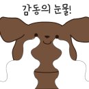 동해포차 이미지