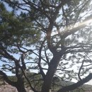 능포주차장 이미지