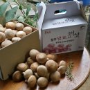 진숙이네 이미지