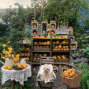 귤꽃스테이 | 제주도 서쪽 숙소 추천 비마이아일 본관2 후기｜근처 카페 귤꽃다락까지