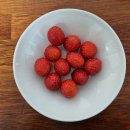 순수김밥 이미지