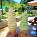 2021-03-0123 - 완주군 | 국수타령, 중앙탑사적공원, 장미산성, 서유숙카페, 1박2일, 충주가볼만한곳, 맛집, 내돈내산, 솔직후기