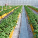 농가의 겨울 이미지